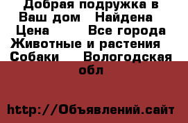Добрая подружка,в Ваш дом!!!Найдена › Цена ­ 10 - Все города Животные и растения » Собаки   . Вологодская обл.